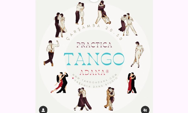 Practica Adana