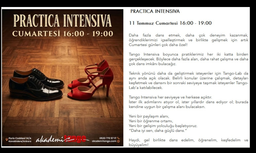 Practica Intensiva